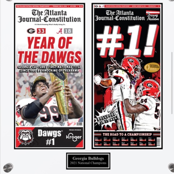 Georgia Bulldogs acrylic framed paper